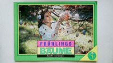 90899 frühlings bäume - 90899, frÜhlings-bÄume