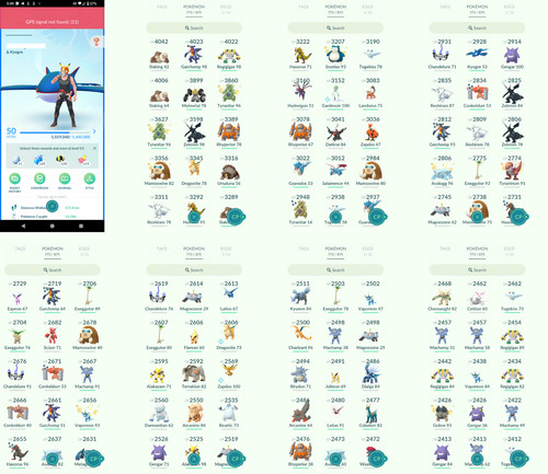 Pokémon acc lvl50 152 - go,