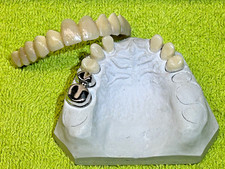 Hochwertiges Schaumodell zur