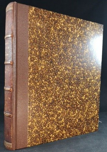 Die chronica novella des - die,