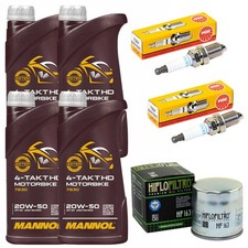 Inspektion Set 4L Öl