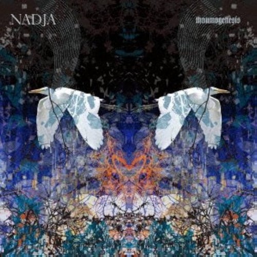 Nadja thaumogenesis - thaumogenesis,