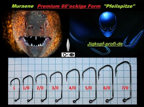 Muraene premium eckige - muraene, 60°