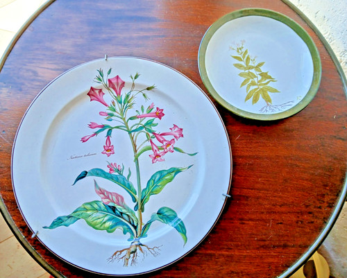 Villeroy boch botanica - villeroy,