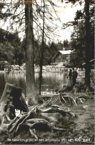 Arbersee 1959 - x,