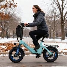 14'' E-Bike Electric Bike
