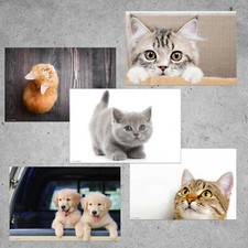 Schreibtischunterlage katze - schreibtischunterlage, "katze