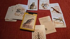 DDR QUARTETT - Geschützte Tiere - ALTENBURGER SPIEL KARTEN / Lehrmittel