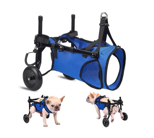 Rollstuhl für hunde - rollstuhl,