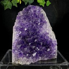 Amethyst Druse Drusenstück