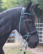 Gebisslos Leder Trense Crossover + Zügel Bitless Bridle Sidepull VIELE FARBEN