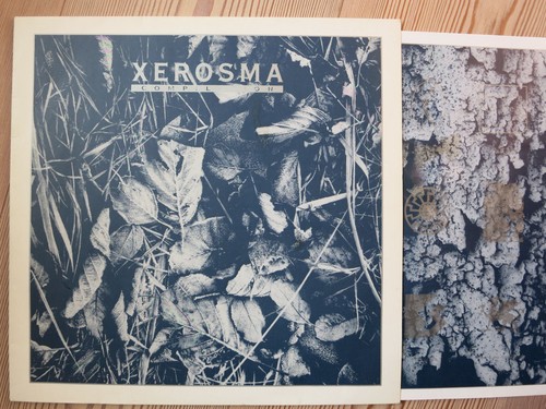 Xerosma ant zen 357 - 357, /