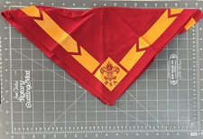 Junge Pfadfinder Of Amerika