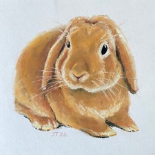 Kaninchen Original Pastell Malerei, Pastell Gemälde, 20x20 cm
