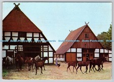 D328400 Pferde. Naturtierpark Stohen. Vollblutaraber Gestut. Horst Müller Verlag