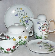 Arzberg Brasilia 5500 Wiesenblume Wildblumen Pflanzen J. Lucht - Teile zur Wahl