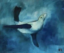 Seal Sealife Ölgemälde