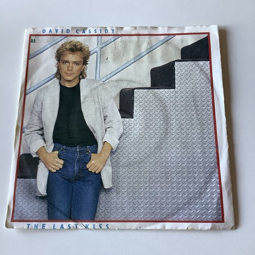 Vinyl single david - 7",
