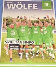 2505.2016 Aufstiegsspiel 3.Liga VFL Wolfsburg/Am - SSV Jahn Regensburg