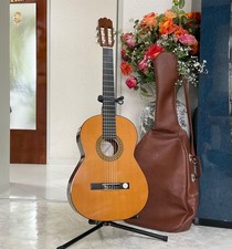 🇩🇪Gitarre HÖFNER