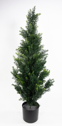 Zeder konifere natura 90cm - zeder,