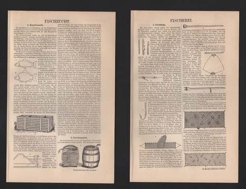 Lithografie 1904 fischzucht - lithografie,
