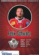 Felix Schwarz UH -Eisbären