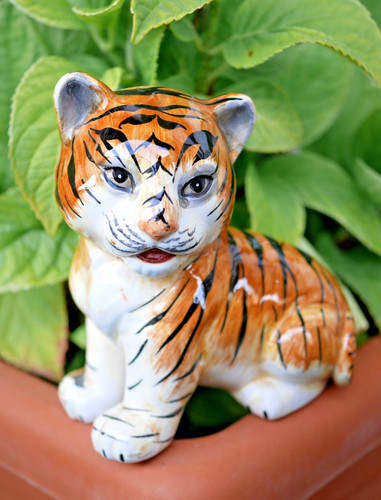 Majolika keramikfigur tiger - majolika,