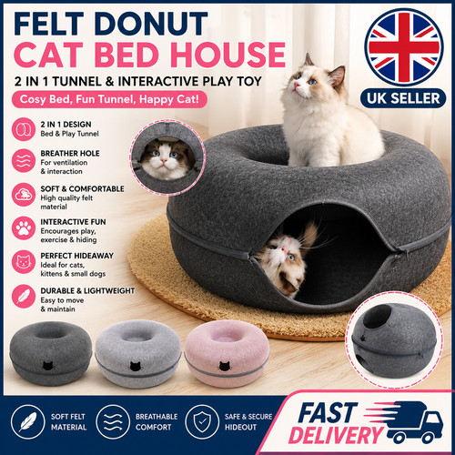 Katze hund bett - hund,