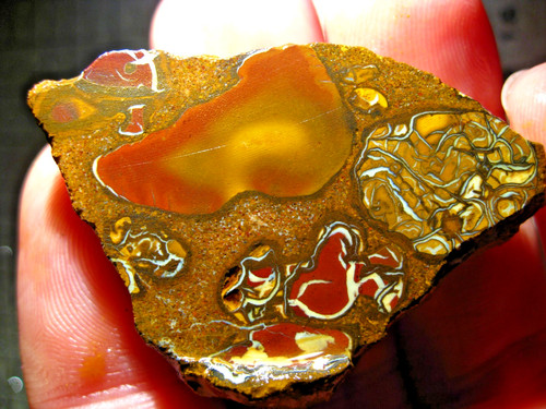 490 cts australien - 490, koroit