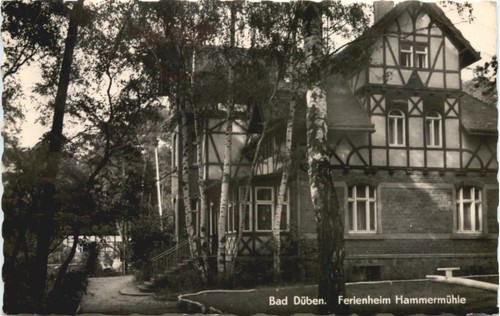 Bad düben ferieheim - düben,