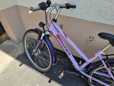 Fahrrad pegasus 26zoll rh44 - fahrrad,