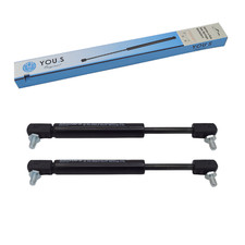 Gasfedern für CASE IH Steyr -