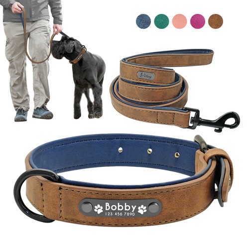 Hundehalsband mit namen - namen, gravur