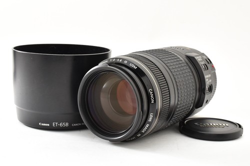Canon 300mm 5 6 is - canon, ef