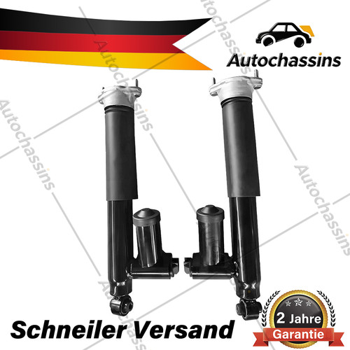 Stoßdämpfer hinten für - stoßdämpfer,