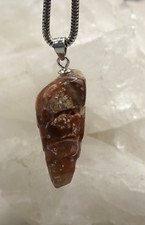 TURMSCHNECKE versteinert