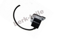 Zündmodul  Zündspule passend