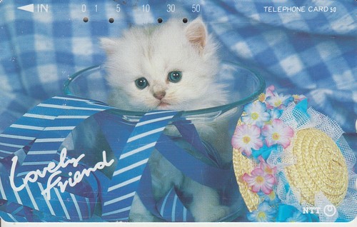 Japan katze - japan,