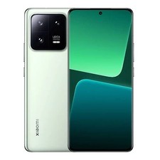 Xiaomi 13 5G 256GB Flora Green  *TOP* MwSt nicht ausweisbar