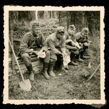 Wehrmacht IR 392 Latrine Donnerbalken Lappland um 1943 - Finnland WK2 Foto 6x6cm