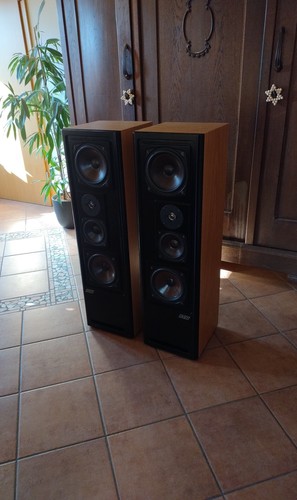 Asw cantius 5 - ml,