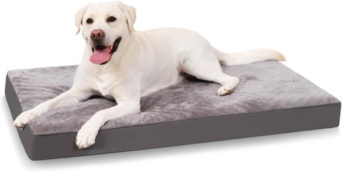 Hundebett orthopädisch - hundebett,