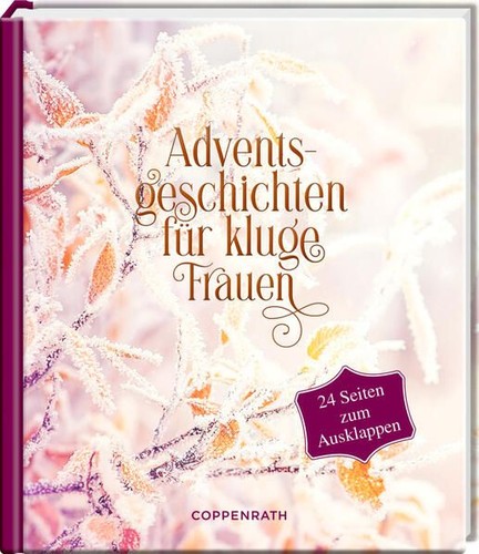 Adventsgeschichten für kluge