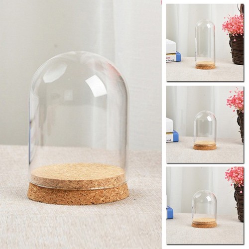Set transparent glasglocke - set,