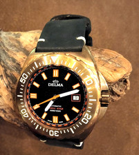 Delma Shell Star Bronze