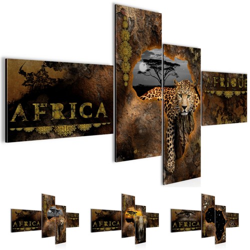 Wandbilder afrika karte modern - wandbilder,