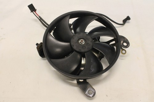 Honda 600 hornet pc36 - cb,
