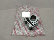 Pegasus S50 LX - Zylinder 50ccm NEU cylinder  (40-3)