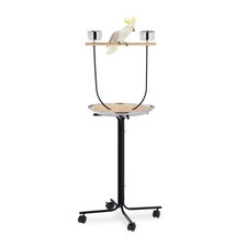 Freisitz papagei Vogel